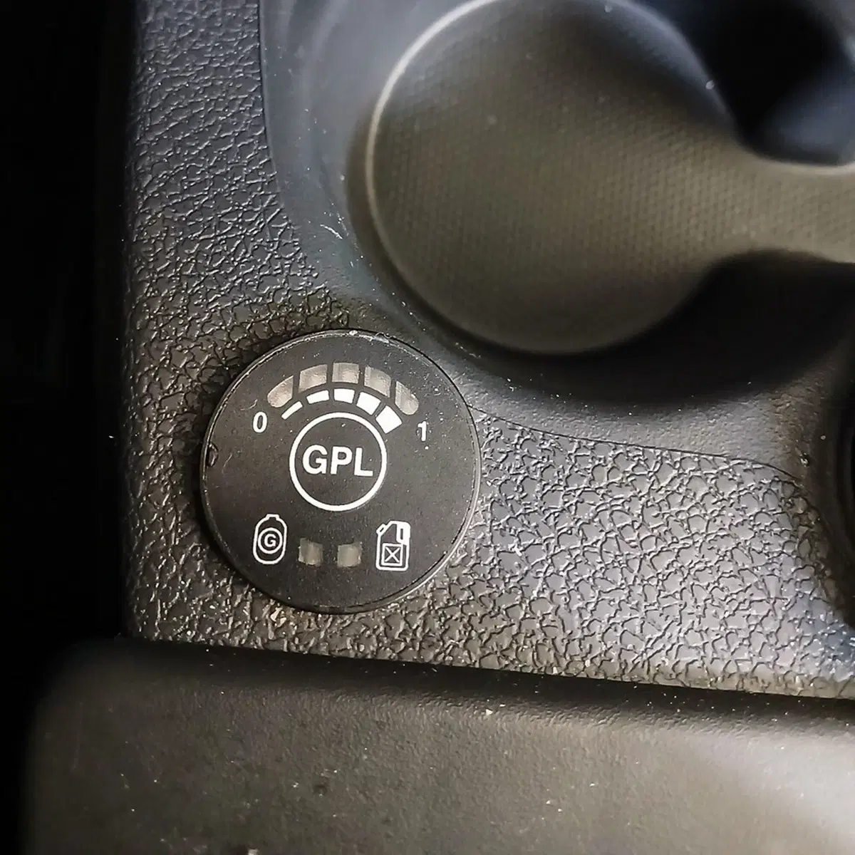 Dacia Lodgy usata a Torino (14)