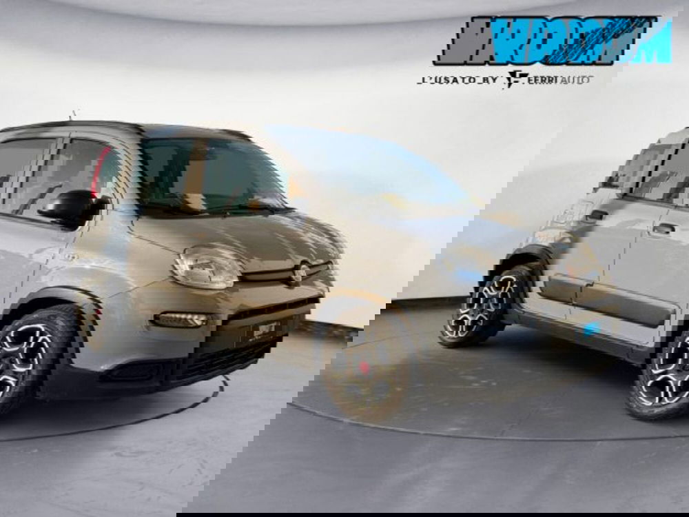 Fiat Panda usata a Treviso (3)