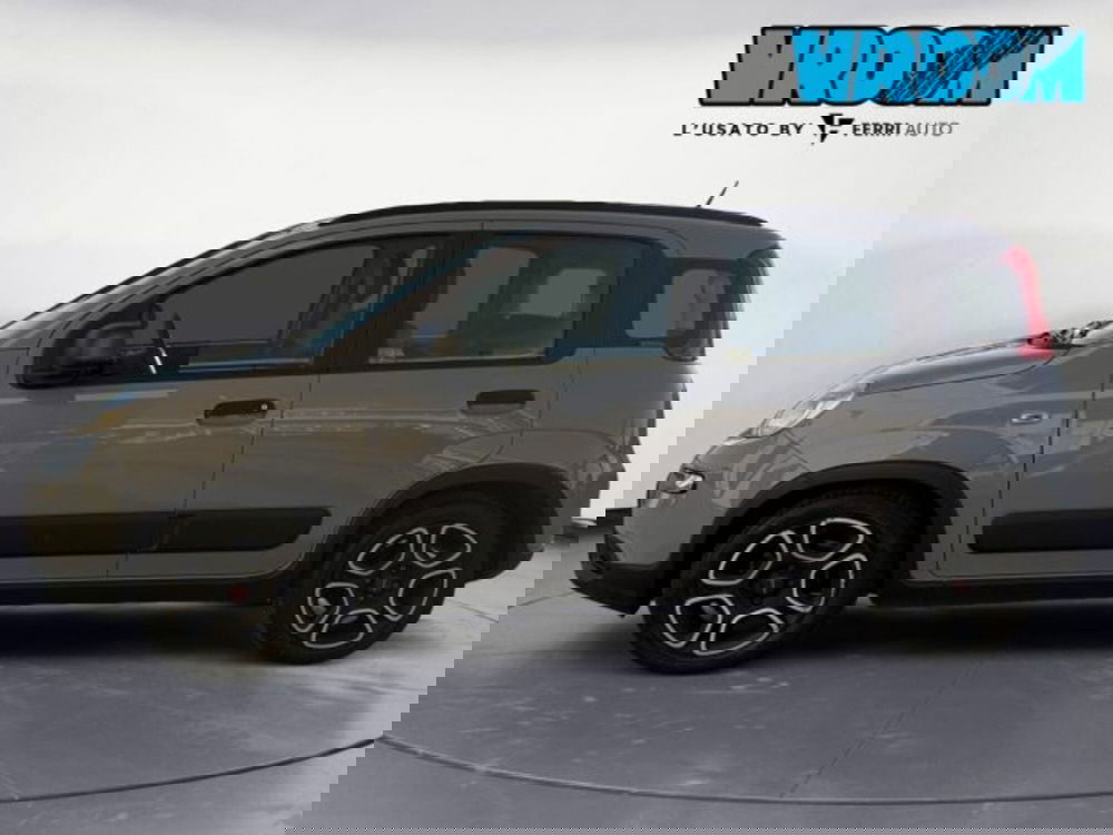 Fiat Panda usata a Treviso (5)