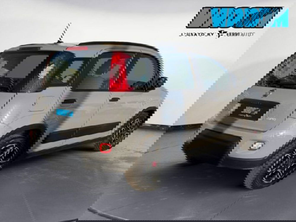 Fiat Panda usata a Treviso (6)