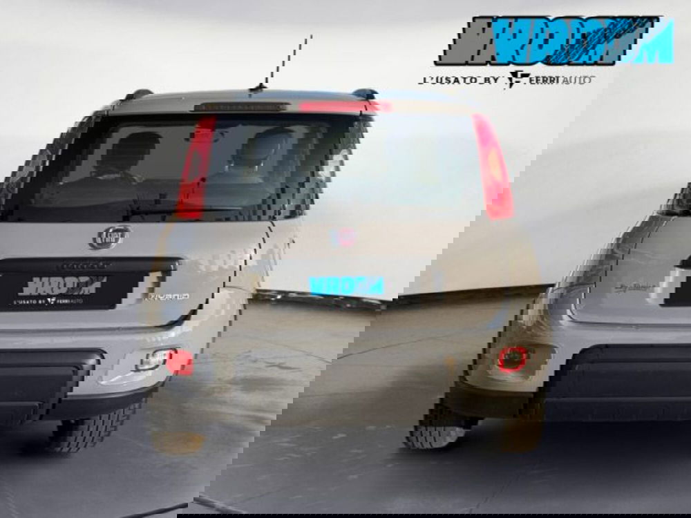 Fiat Panda usata a Treviso (7)