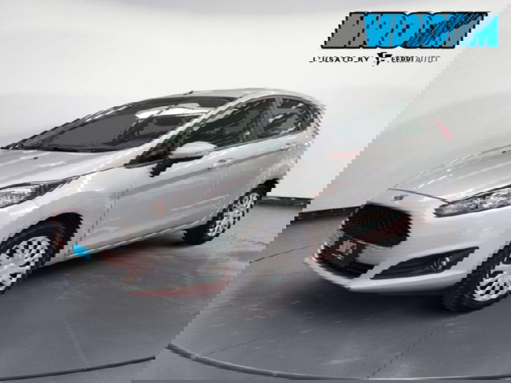 Ford Fiesta usata a Treviso