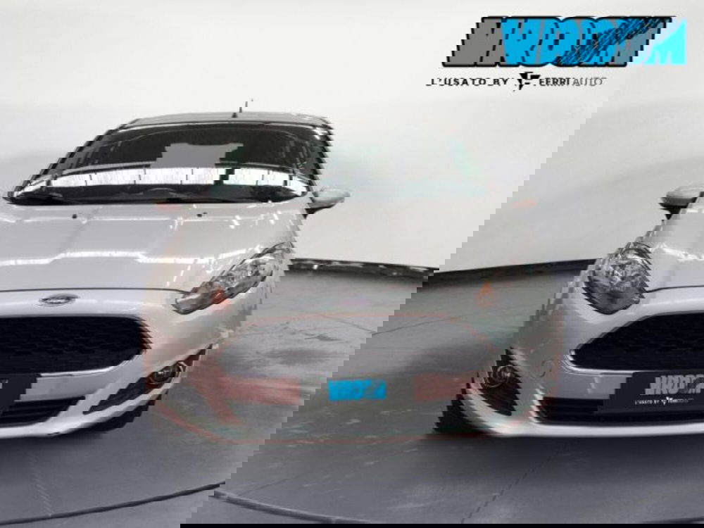 Ford Fiesta usata a Treviso (2)