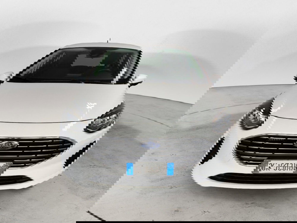 Ford Fiesta usata a Arezzo (2)