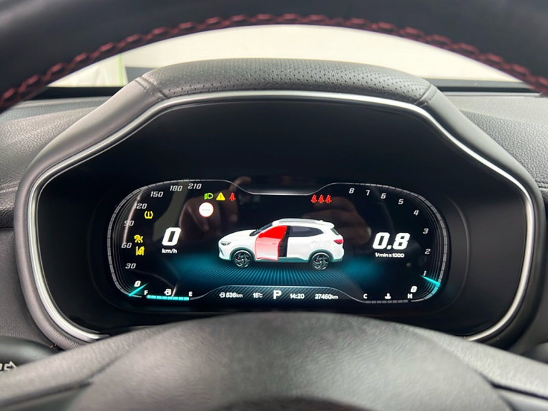 Mg HS usata a Roma (16)