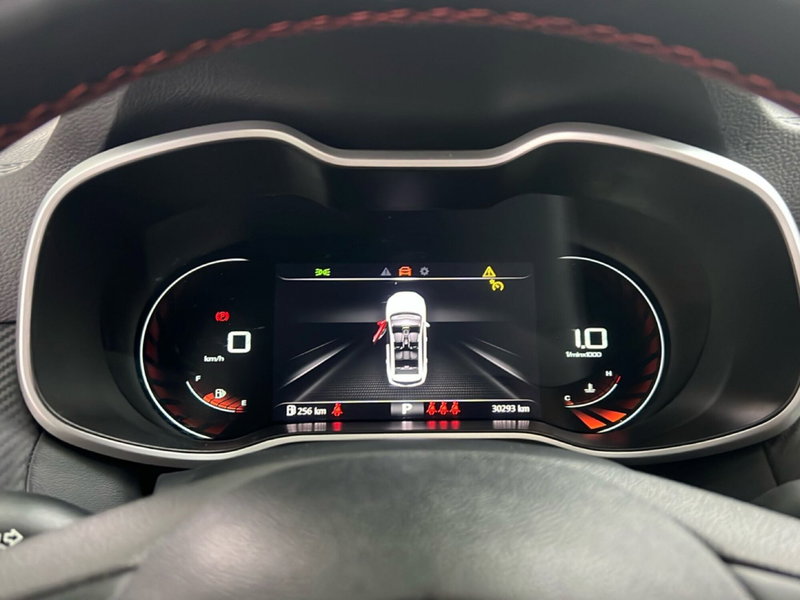 Mg ZS usata a Roma (16)