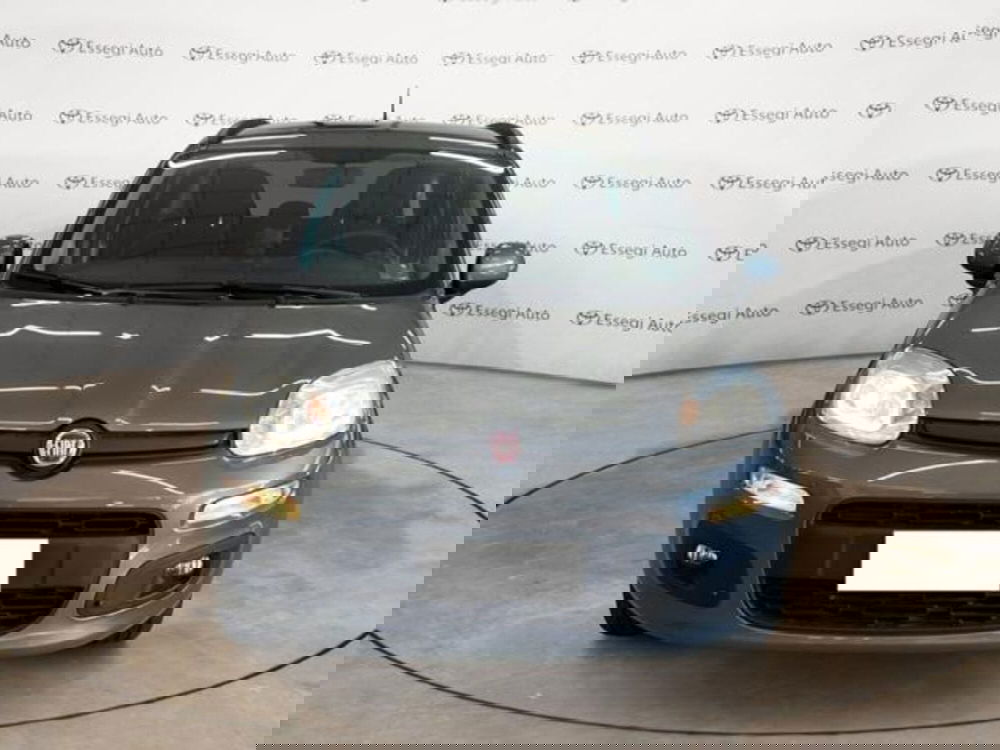 Fiat Panda usata a Vercelli (2)