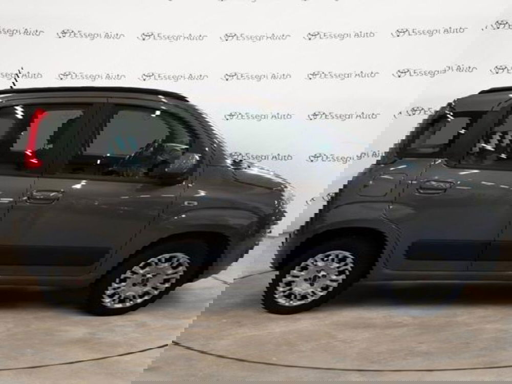 Fiat Panda usata a Vercelli (4)