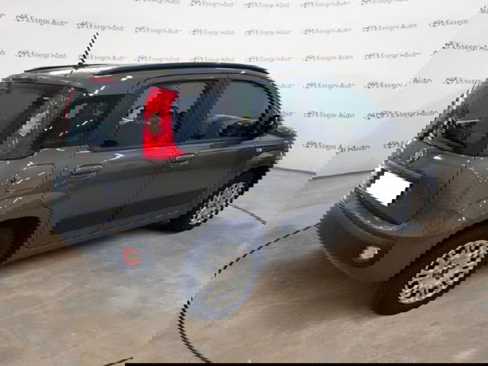 Fiat Panda usata a Vercelli (5)