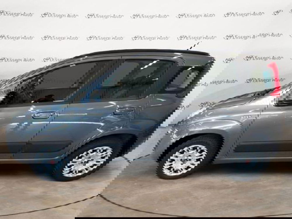 Fiat Panda usata a Vercelli (8)