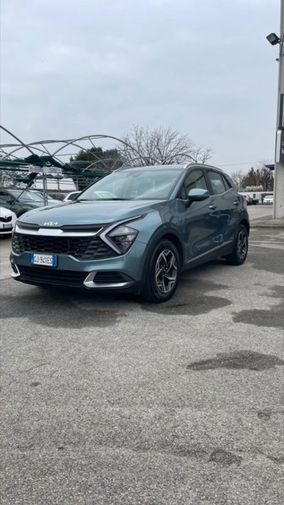 Kia Sportage 1.6 TGDi MHEV Business del 2022 usata a Novara
