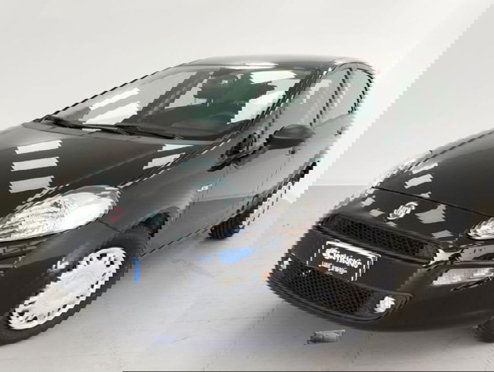 Fiat Punto usata a Como