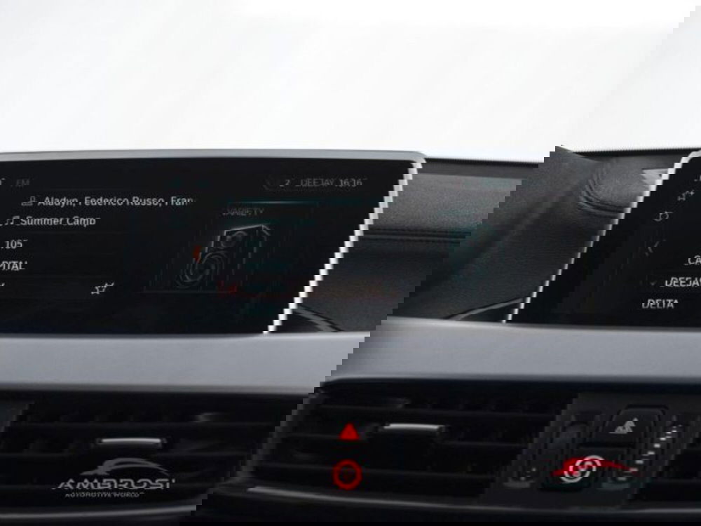 BMW X2 usata a Perugia (14)