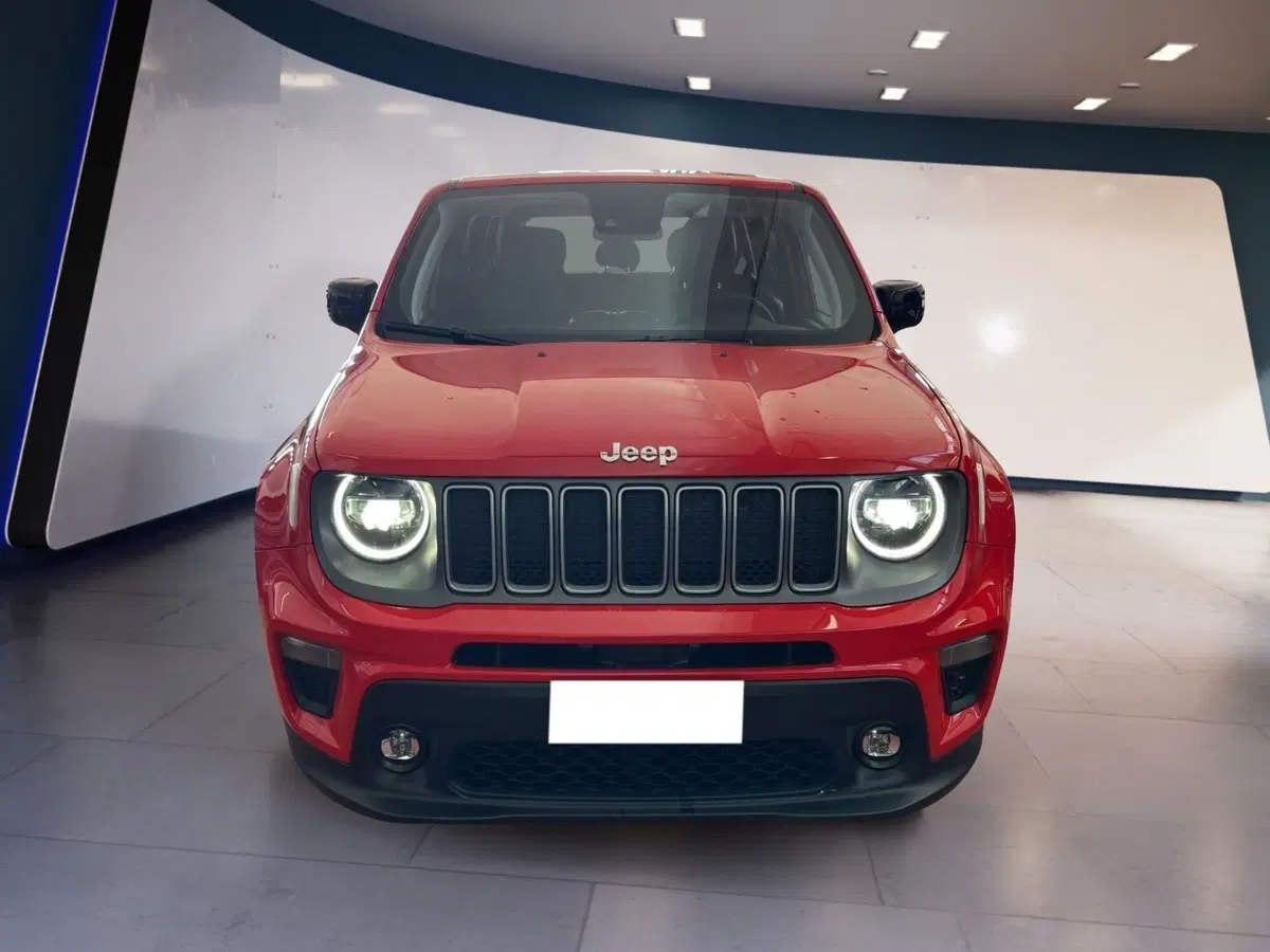 Jeep Renegade usata a Torino