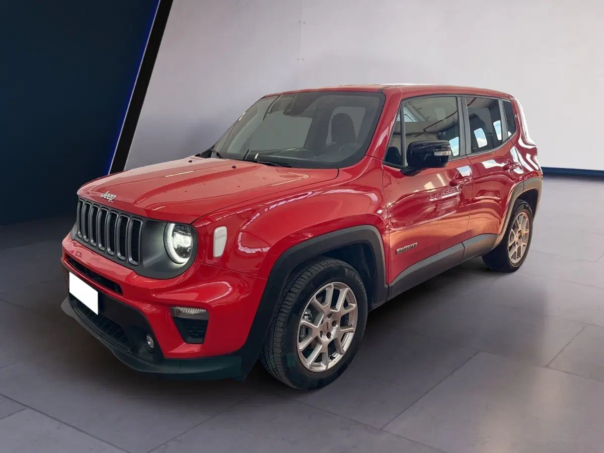 Jeep Renegade usata a Torino (3)