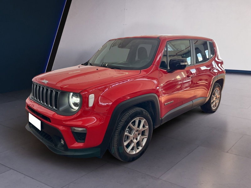 Jeep Renegade usata a Torino (3)