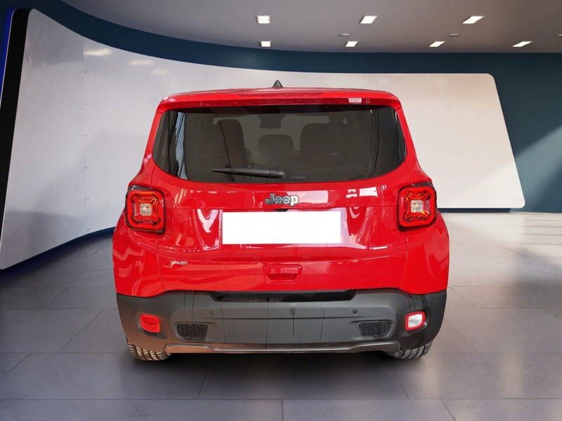 Jeep Renegade usata a Torino (5)