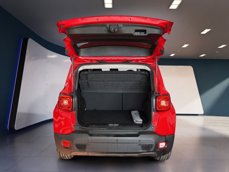 Jeep Renegade usata a Torino (8)