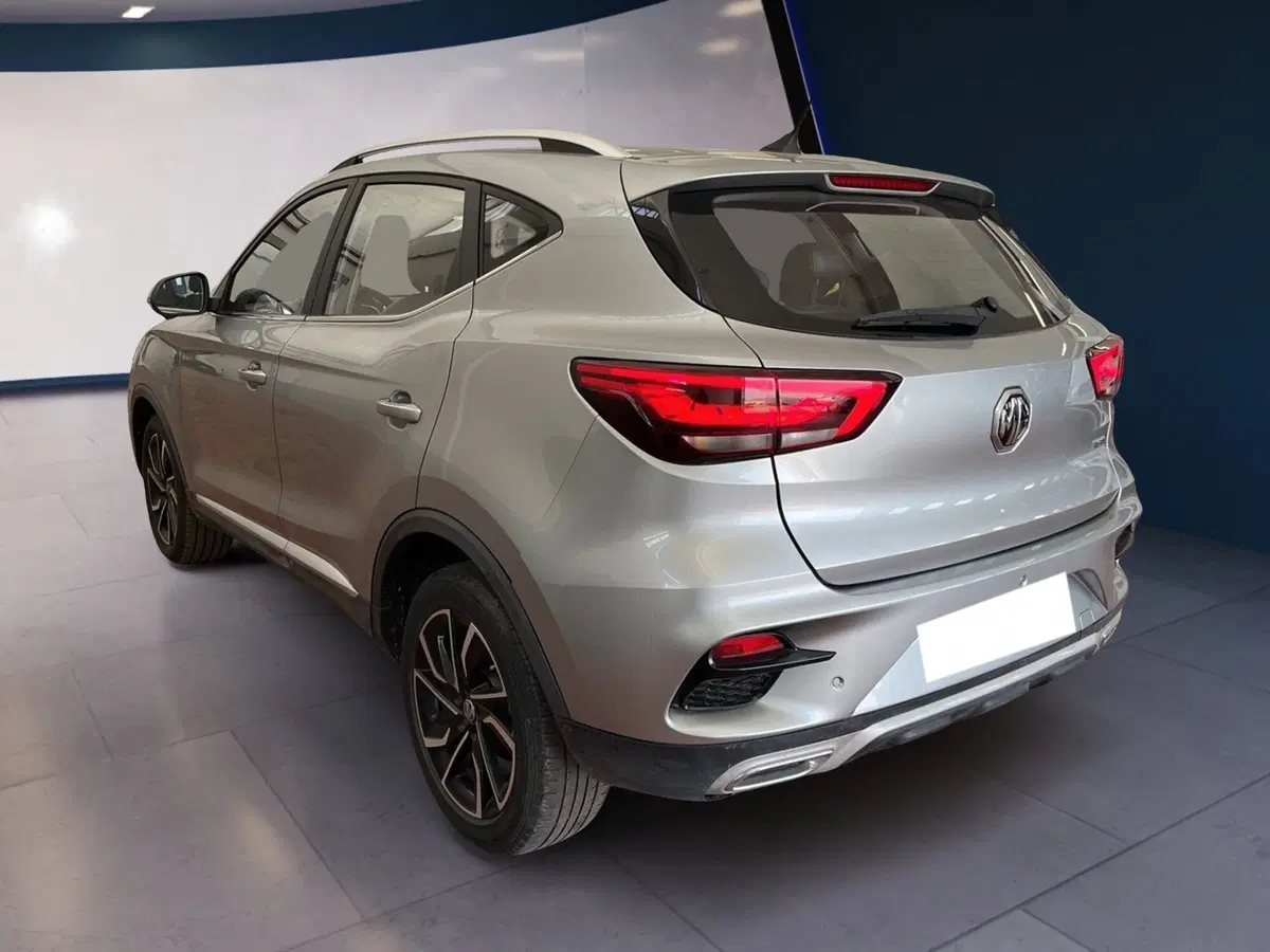 Mg ZS usata a Torino (4)