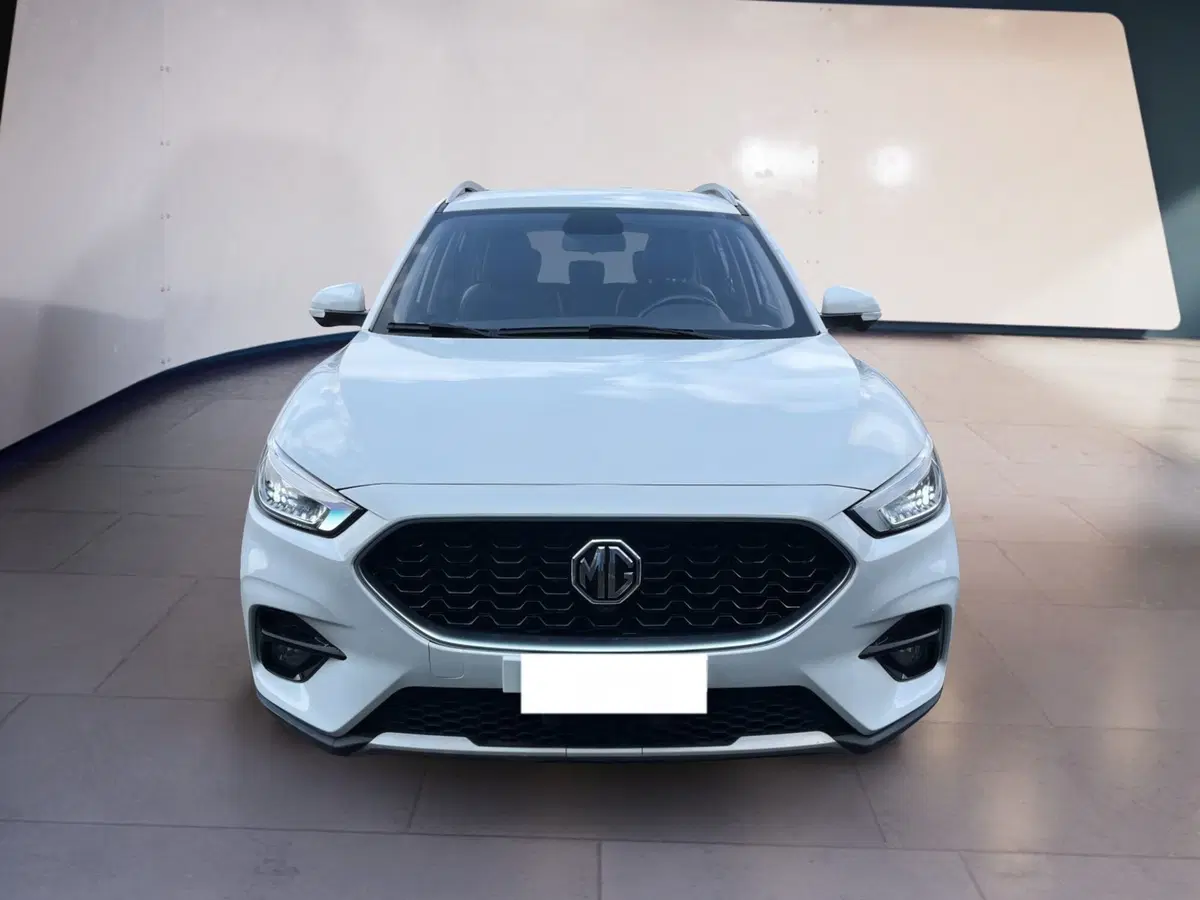 Mg ZS usata a Torino