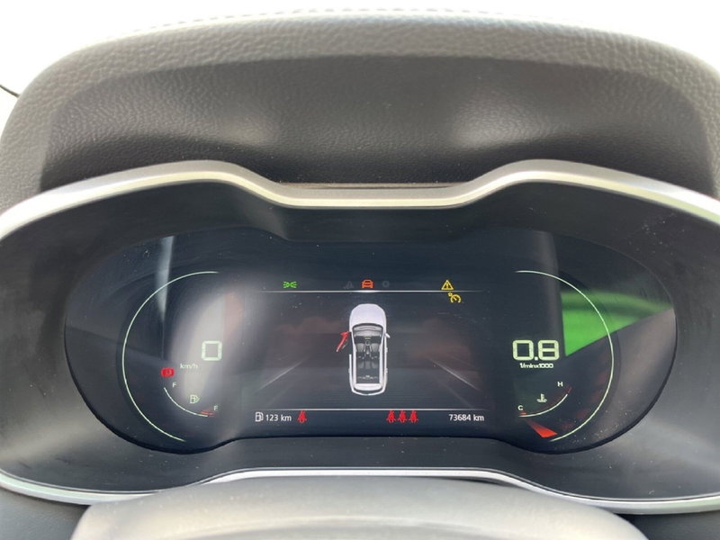 Mg ZS usata a Torino (14)