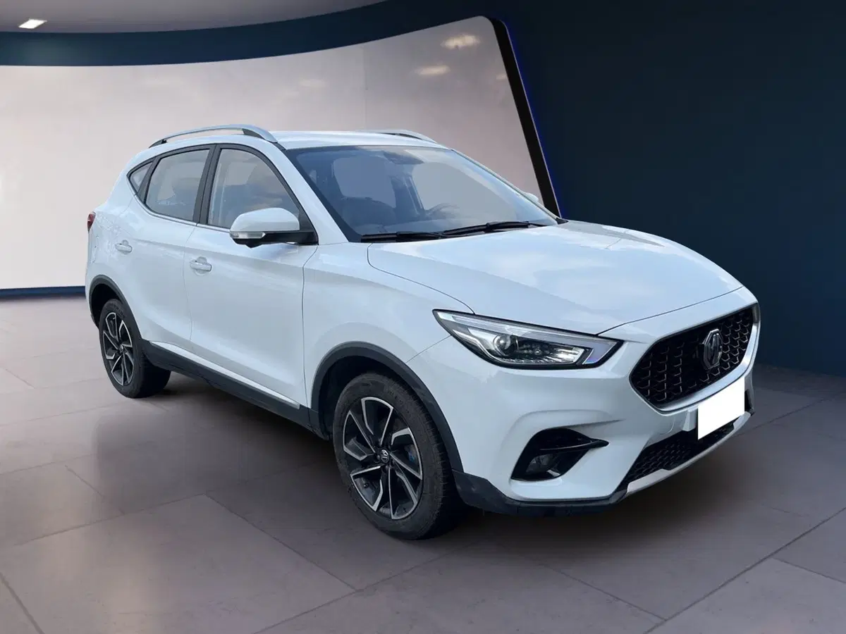 Mg ZS usata a Torino (2)