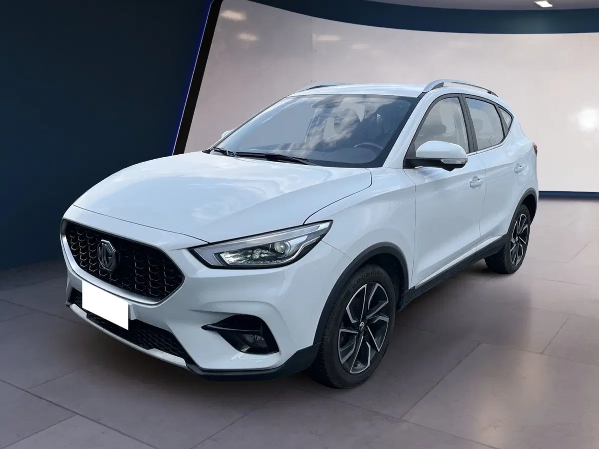 Mg ZS usata a Torino (3)
