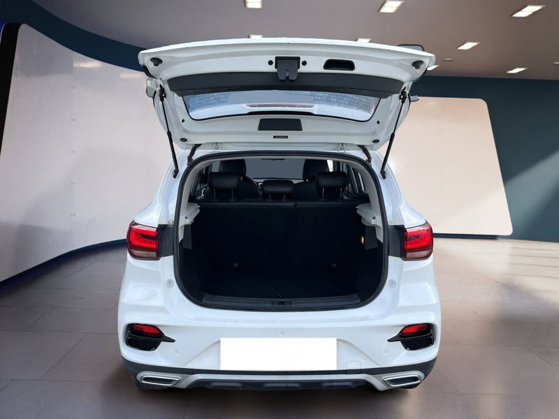 Mg ZS usata a Torino (7)