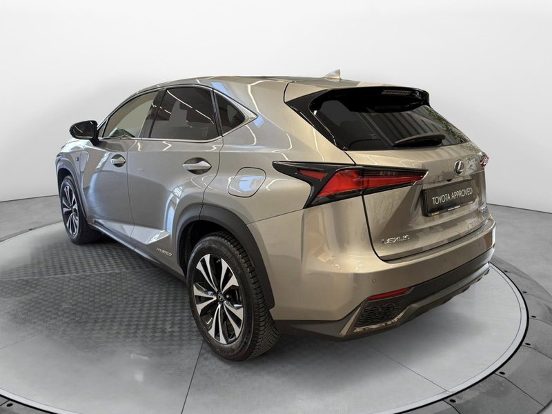 Lexus NX usata a Bologna (3)
