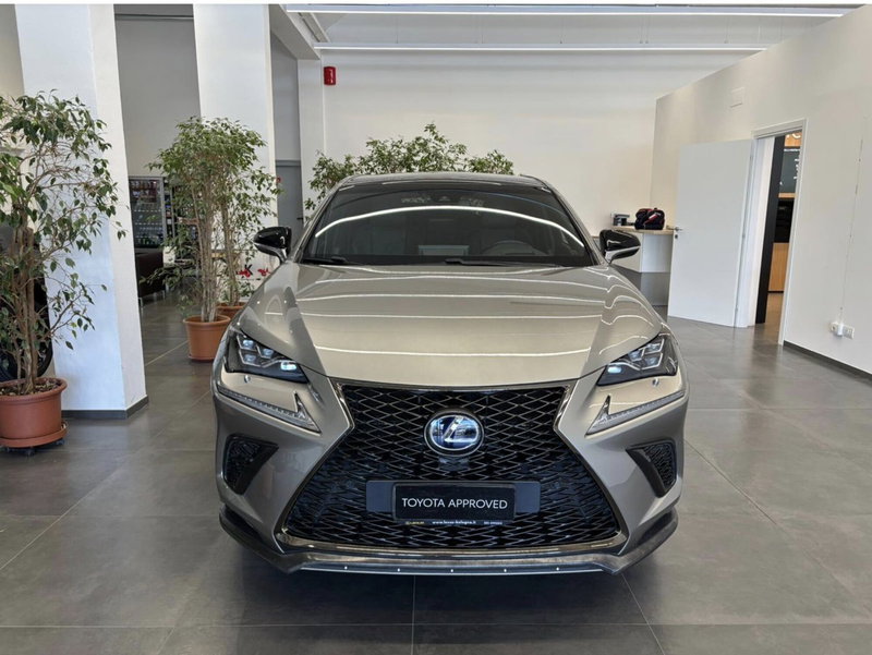 Lexus NX usata a Bologna (4)
