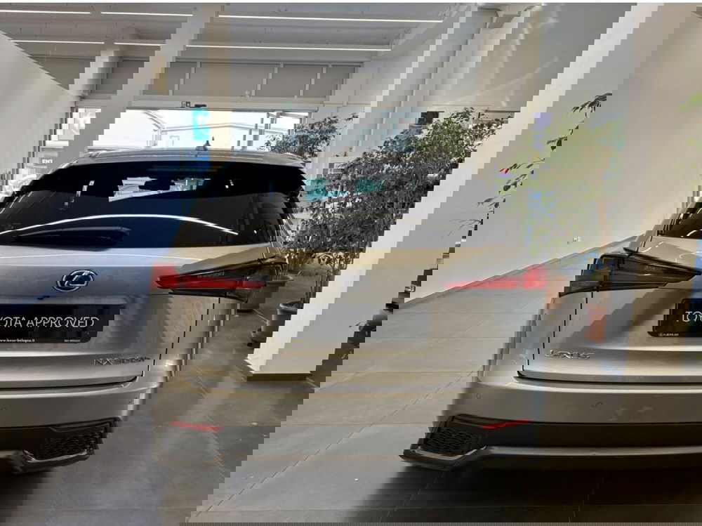 Lexus NX usata a Bologna (7)