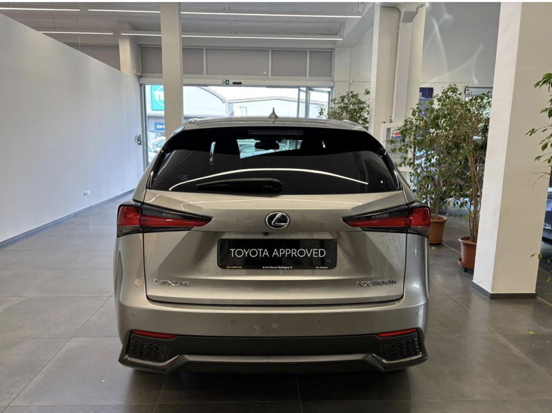 Lexus NX usata a Bologna (7)