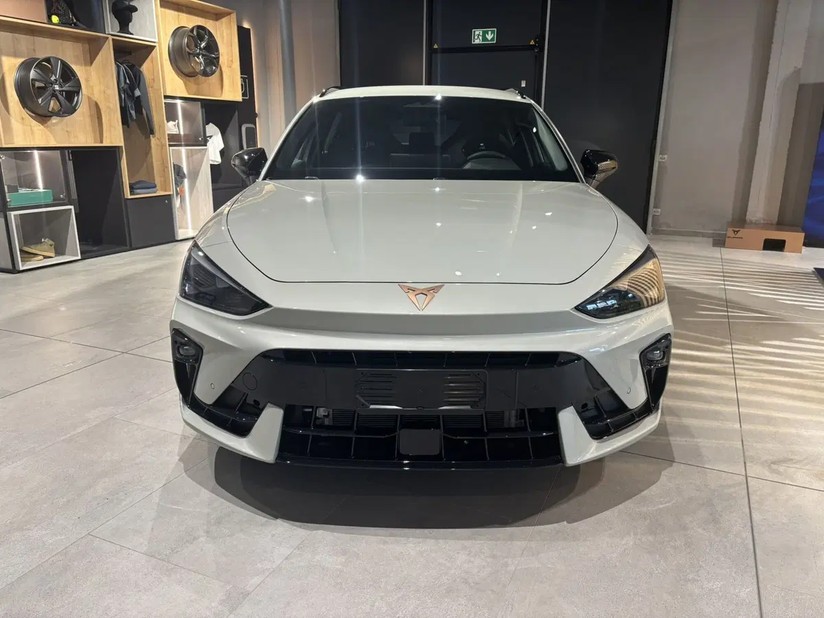 Cupra Leon Station Wagon nuova a Ferrara (2)