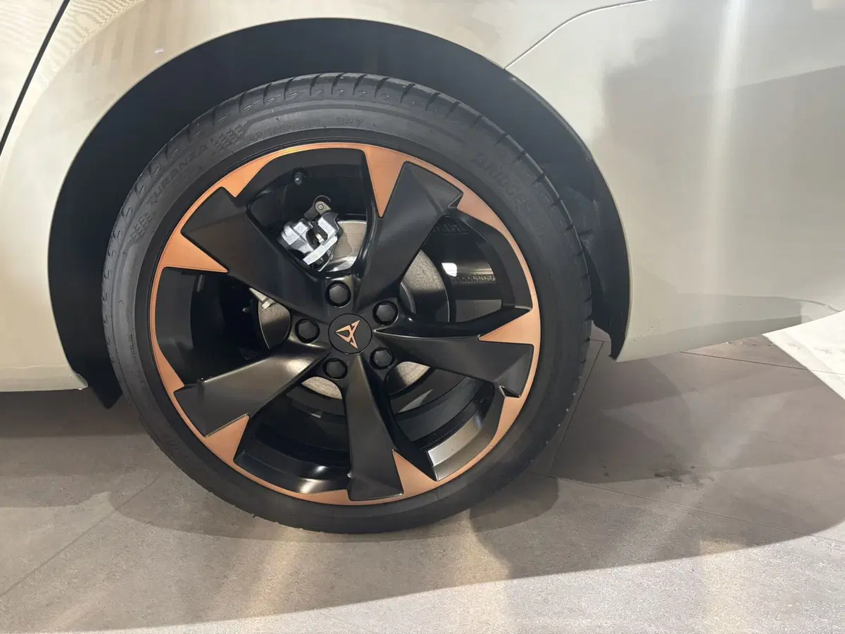 Cupra Leon Station Wagon nuova a Ferrara (6)