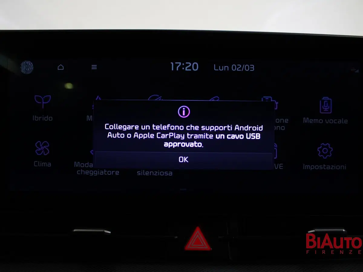 Kia Sportage usata a Firenze (14)
