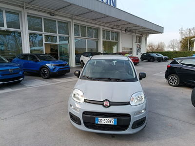 Fiat Panda Cross Cross 1.0 FireFly S&amp;S Hybrid del 2022 usata a San Dona' Di Piave