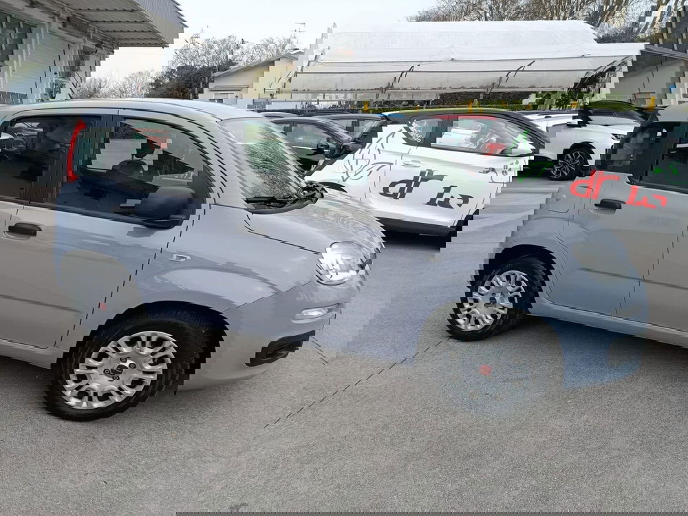 Fiat Panda Cross usata a Venezia (4)