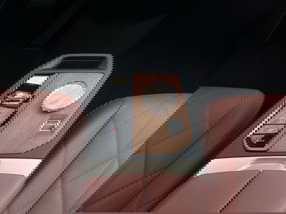 BMW iX usata  (10)