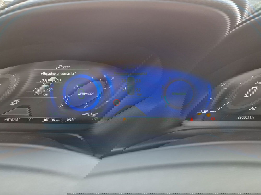 Ford Puma usata  (14)