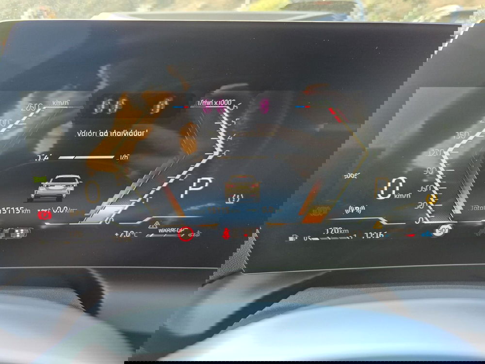 BMW Serie 1 usata  (14)