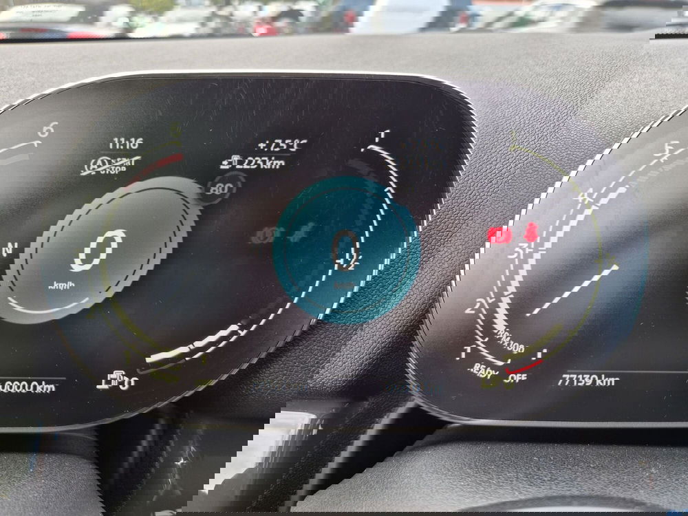 MINI Mini Countryman usata  (13)