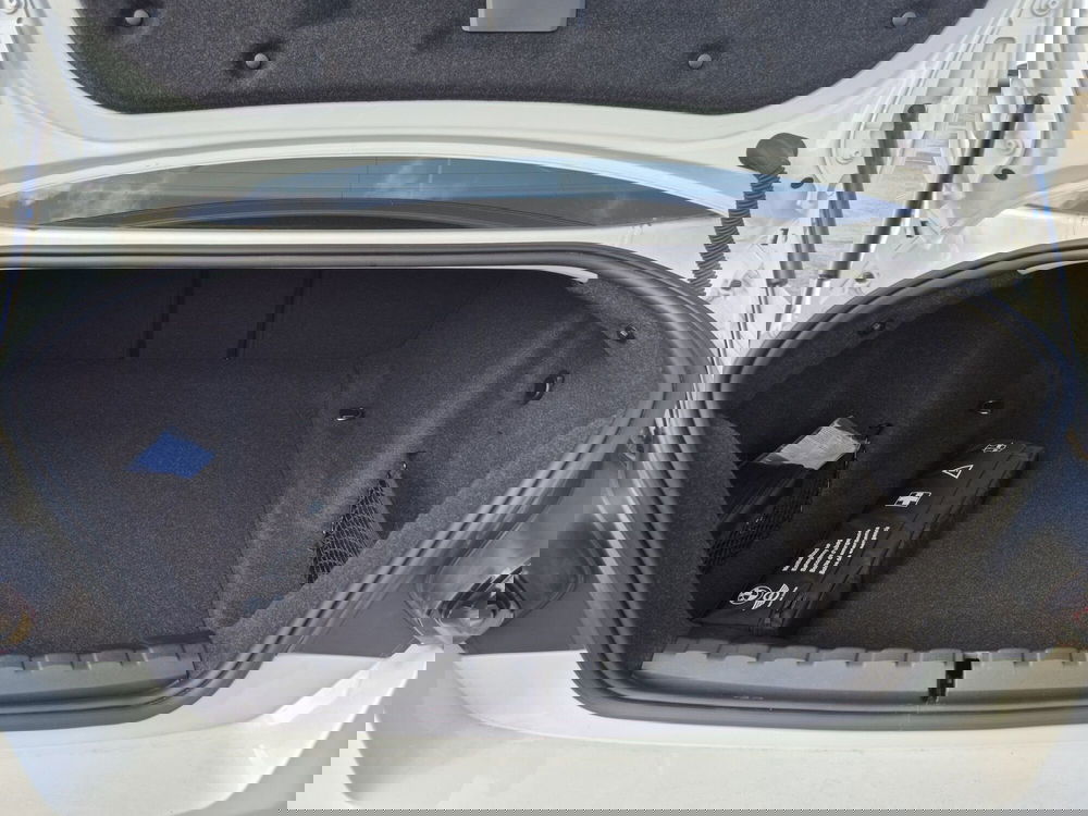 BMW Serie 2 Coupé usata  (12)