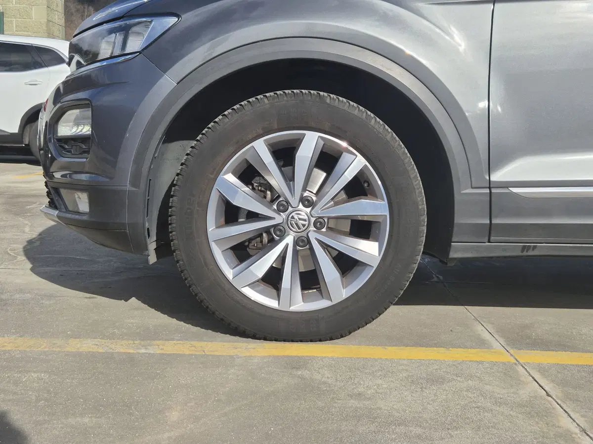 Volkswagen T-Roc usata  (12)
