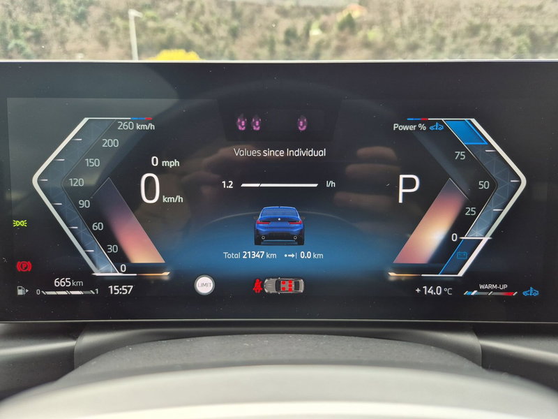 BMW Serie 3 usata  (14)