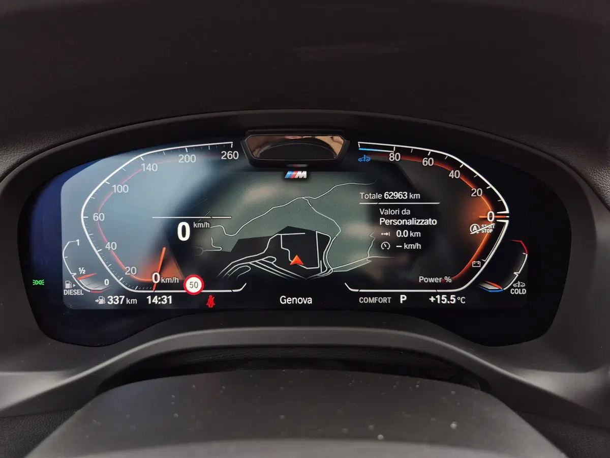 BMW X3 usata  (14)