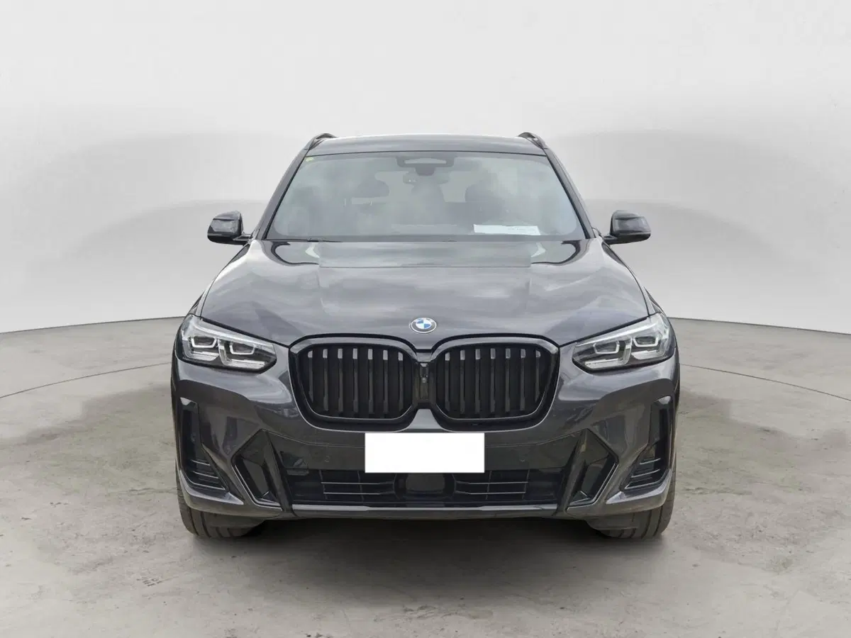 BMW X3 usata  (2)