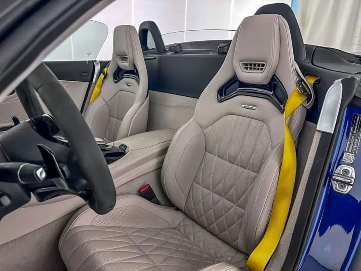 Mercedes-Benz AMG GT R usata a Milano (11)