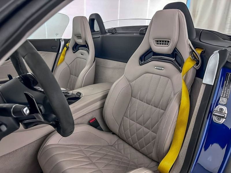 Mercedes-Benz AMG GT R usata a Milano (11)