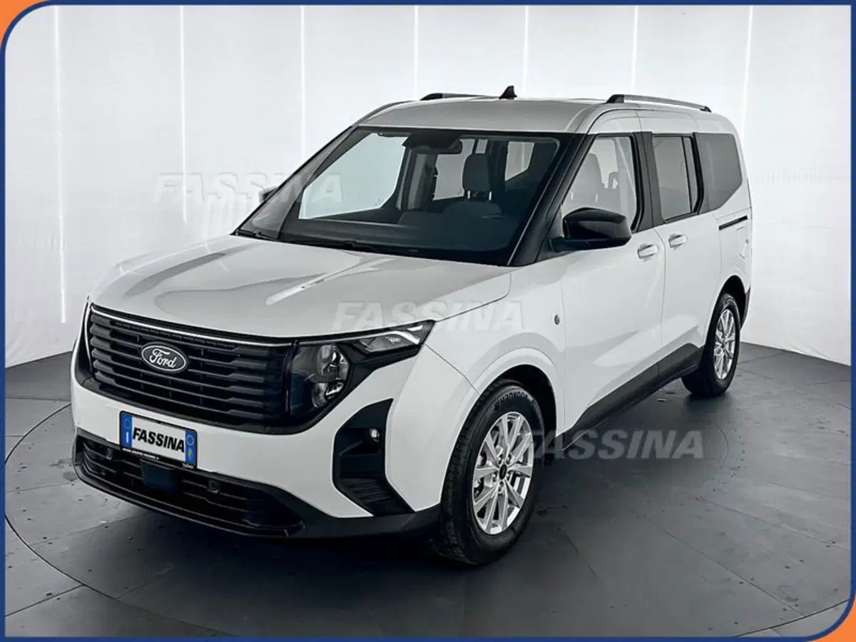 Ford Tourneo Courier usata a Milano (3)
