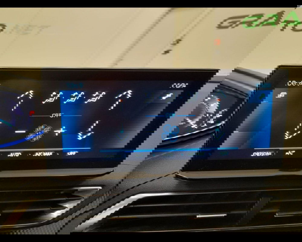 Peugeot 3008 usata a Alessandria (14)